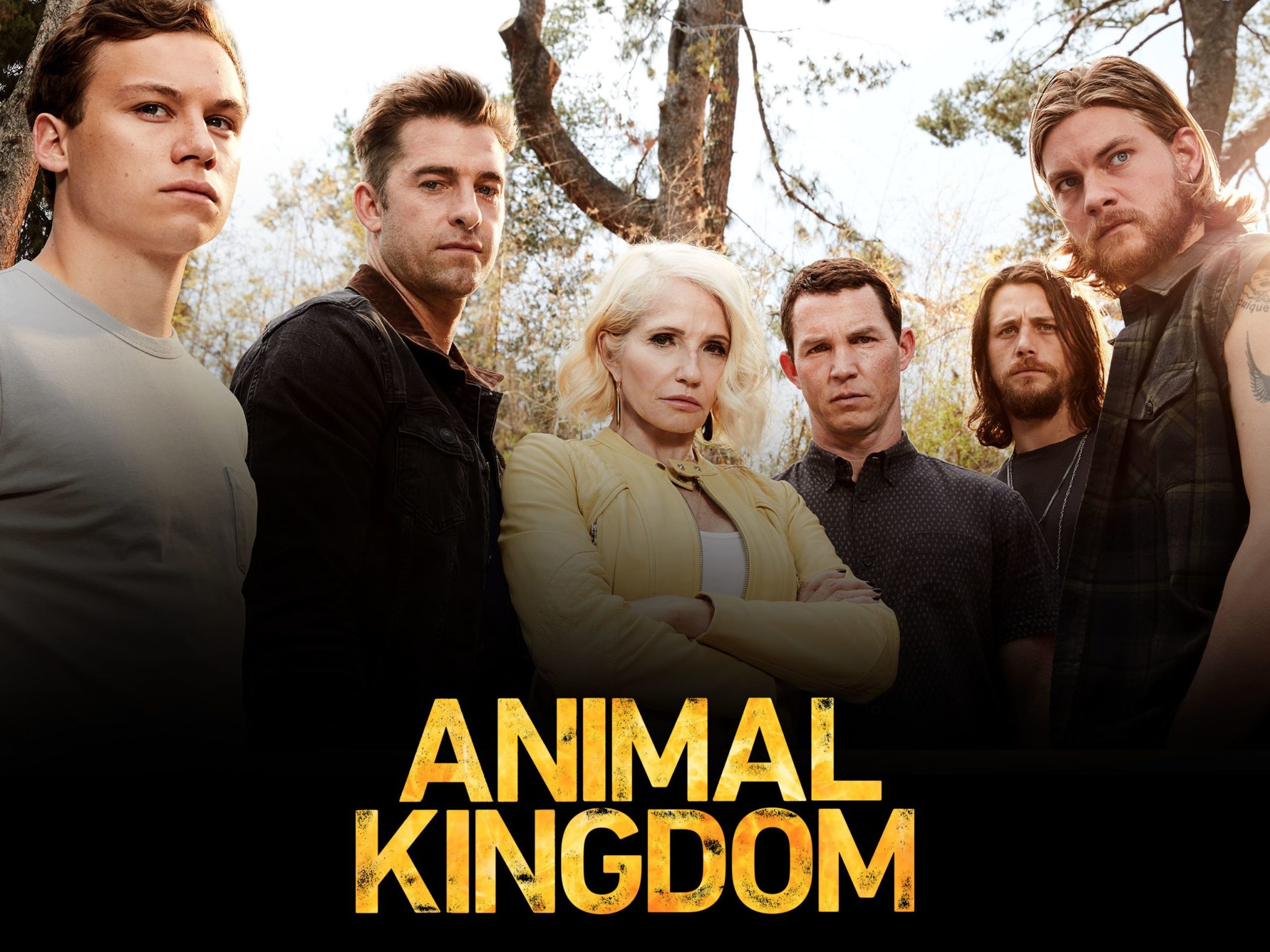 "Animal Kingdom" Season 1 To 5 Available On Netflix? | Where to Watch