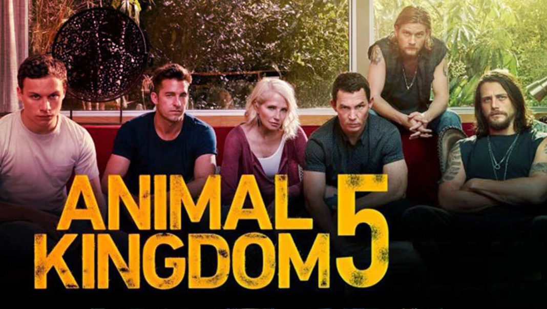 "Animal Kingdom" Season 1 To 5 Available On Netflix? Where to Watch
