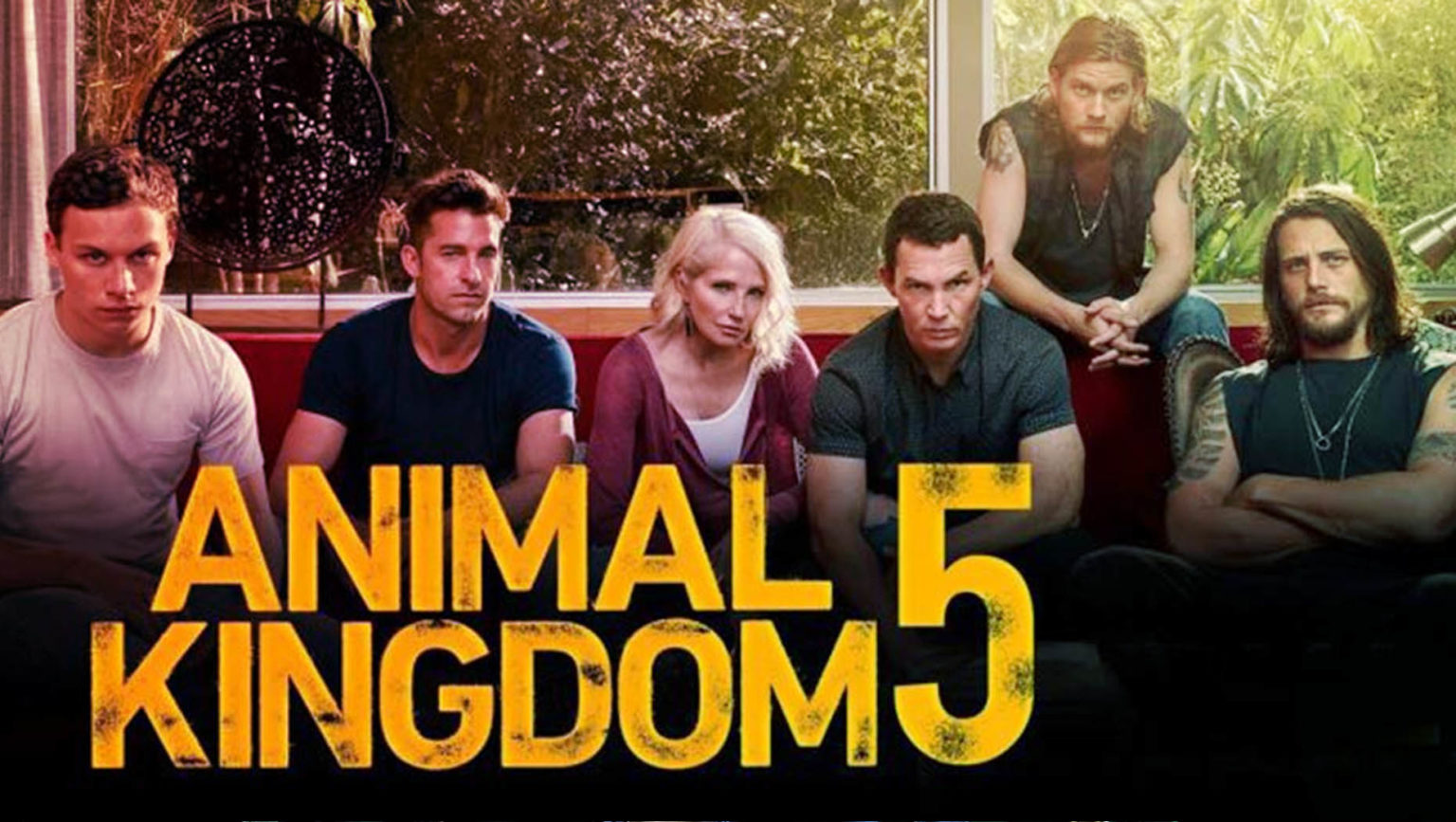 "Animal Kingdom" Season 1 To 5 Available On Netflix? | Where to Watch