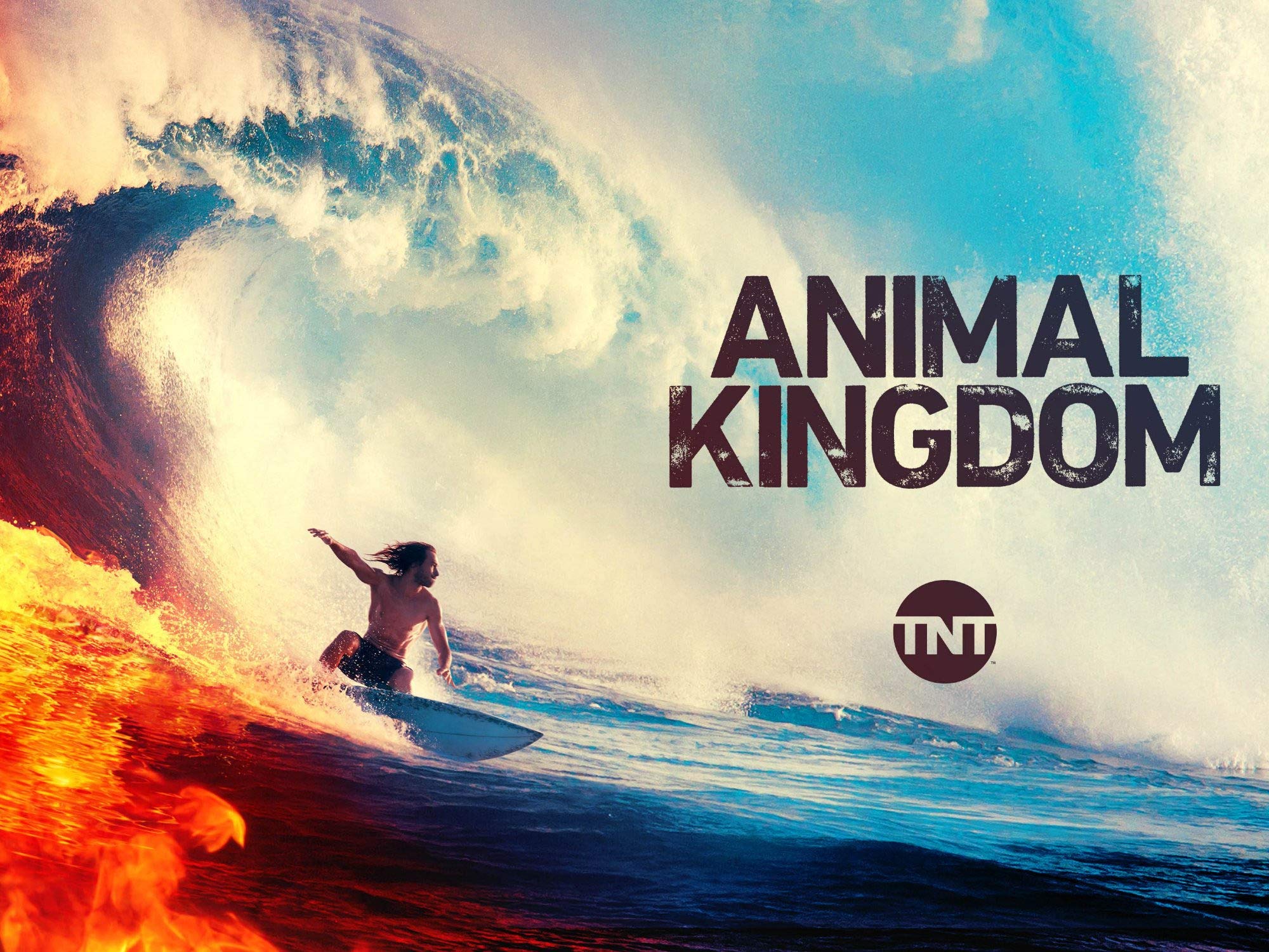 Is Animal Kingdom Based On A True Story? TNT Show