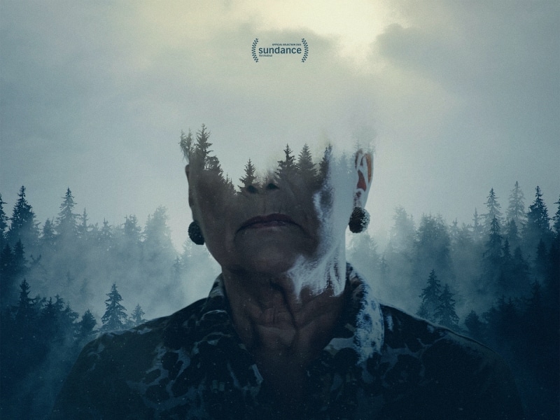 Misha and the Wolves: Watch Online Free & Review
