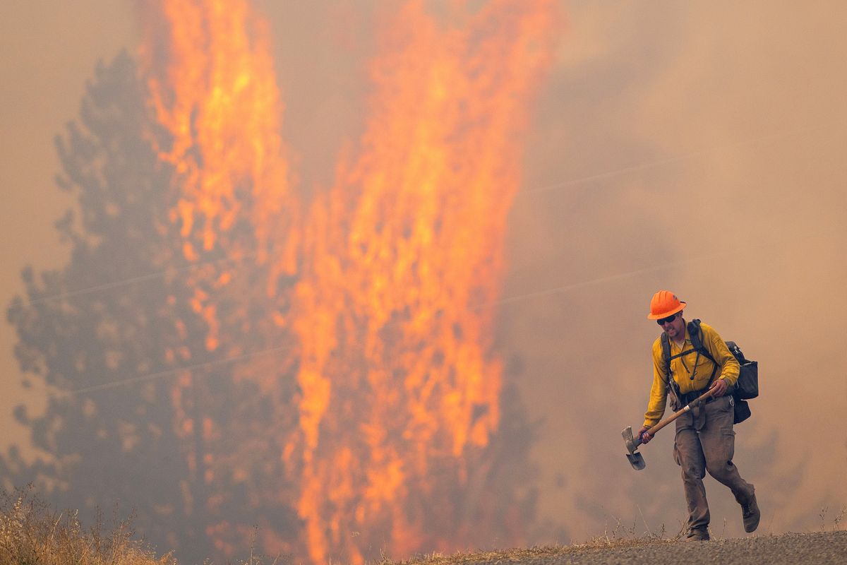 California Wildfires Are Worsening Situations Of Thousands Of Homes