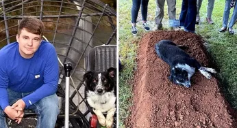 Heart-Breaking Display of Love and Loss by A Dog at the Funeral of Young Owner