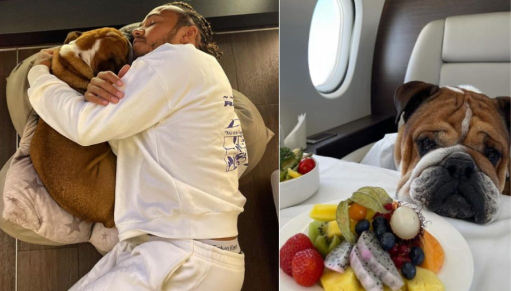 Lewis Hamilton Shares Post Of His Dog's Veganism, That Sparked Heated Debate