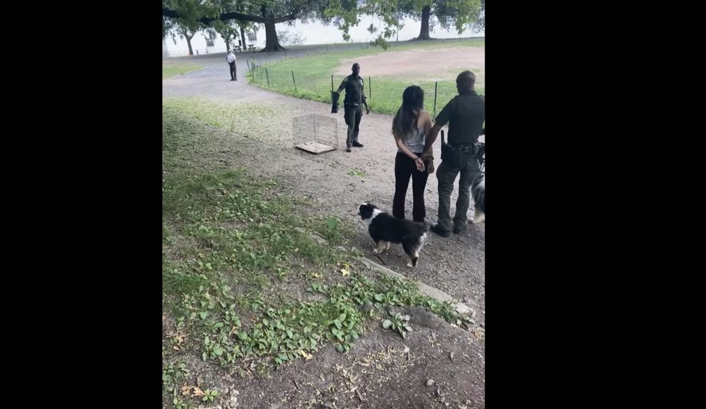 28-Year-Old Woman Arrested Unjustly For Not Walking Dogs Without A Leash