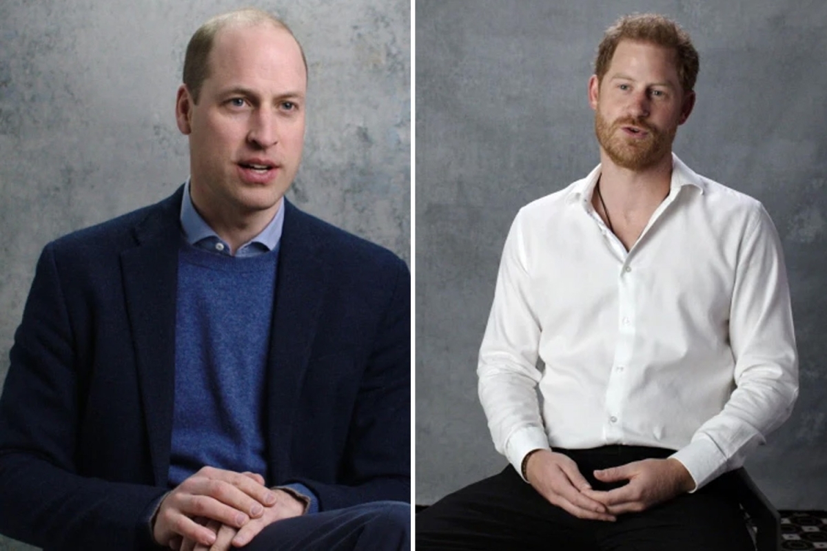 ‘Confident’ Harry shows ‘sense of power’ while William is ‘respectful’ & ‘emotionally complex’ in Philip documentary