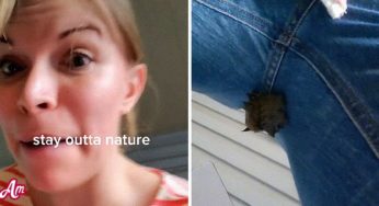 Tik Tok: A Live Bat Hanging from the Crotch of a Woman Leaves Her Horrified