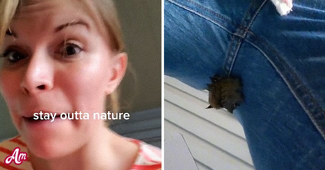 Tik Tok: A Live Bat Hanging from the Crotch of a Woman Leaves Her Horrified