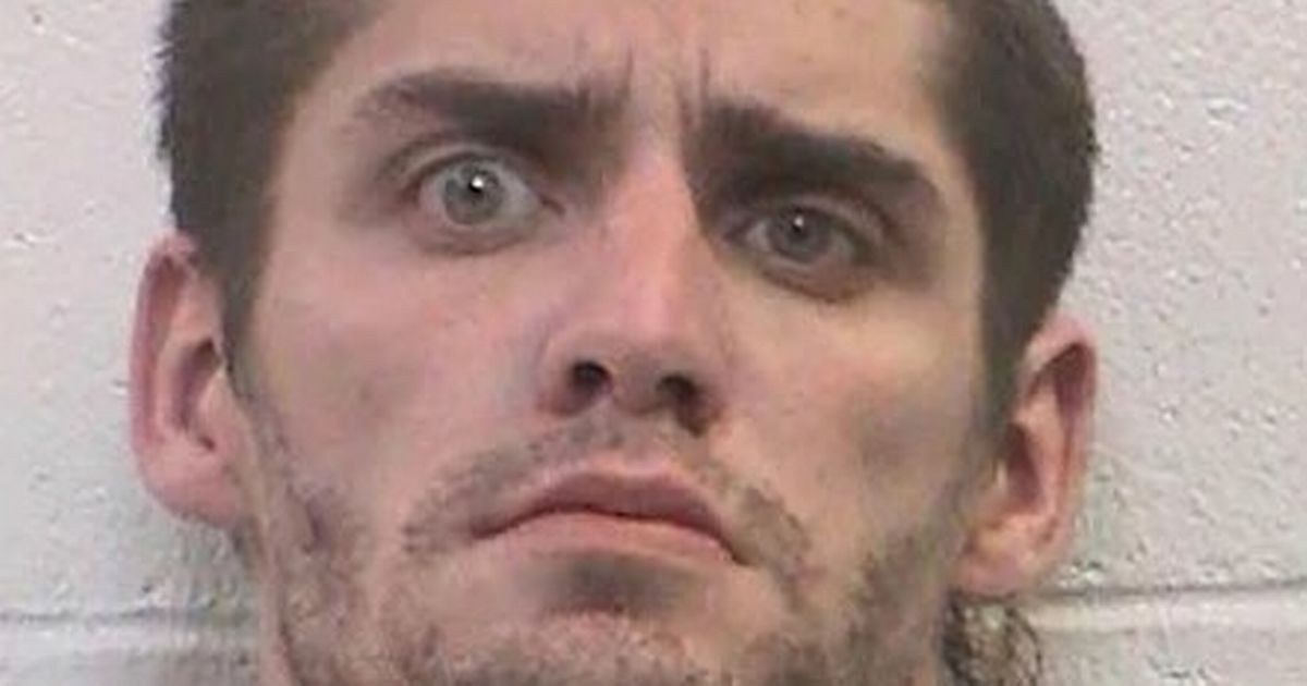 Man accused of having sex with horse leads cops on wild dash ‘half naked’ through river