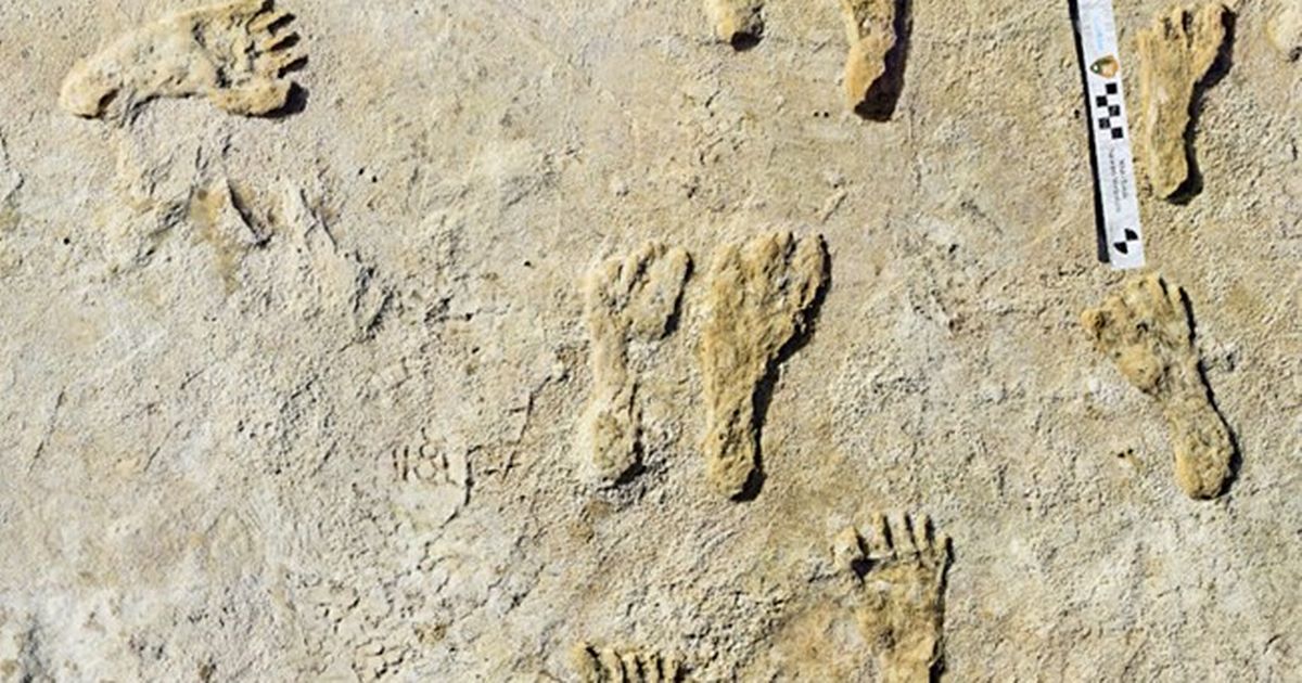 Discovery of ancient footprints in USA suggests bombshell new theory of early Americans