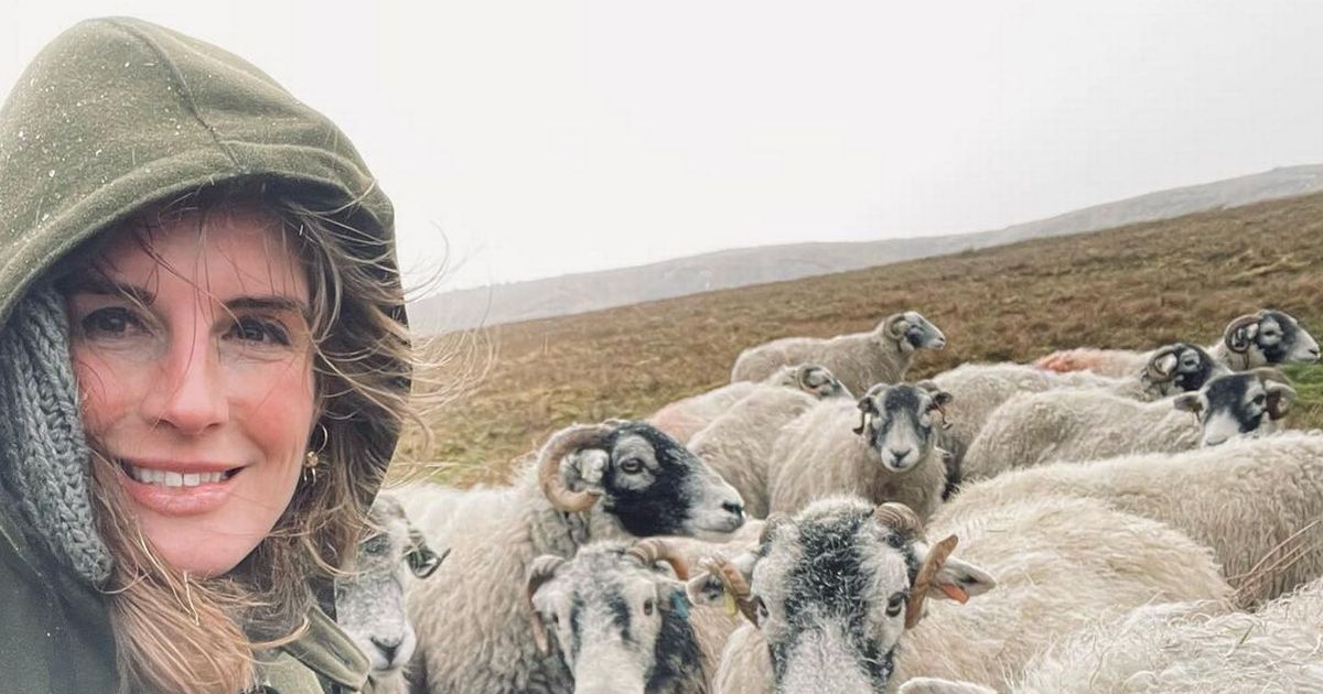 Our Yorkshire Farm star Amanda Owen wows fans as she shares glamorous selfie