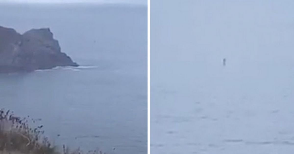 Woman stunned to see ‘periscope’ object sticking out of sea near coast