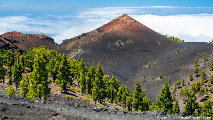 Authorities warns on the Major volcano eruption alert on Canary Islands after 'earthquake swarm' detected - World News
