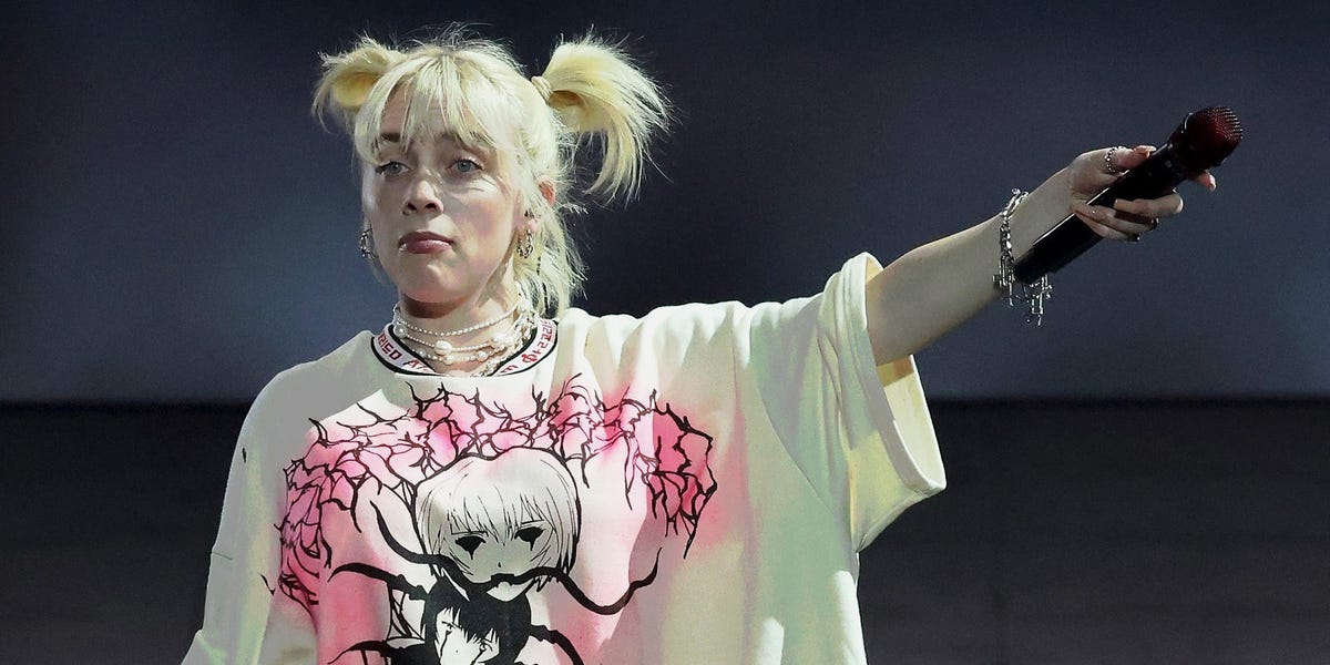 Billie Eilish Interrupted Her Gov Ball Set to Call Out Security