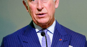 In a partnership with streaming behemoth Amazon Prime, Prince Charles creates a climate change TV channel.