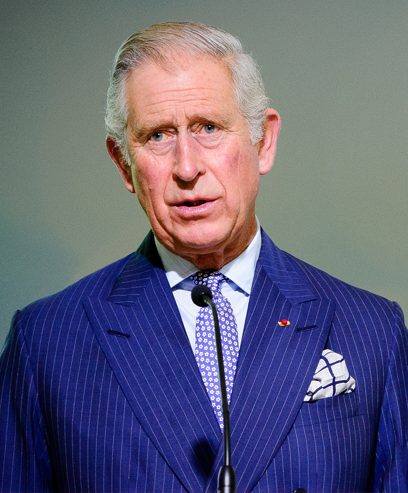 In a partnership with streaming behemoth Amazon Prime, Prince Charles creates a climate change TV channel.
