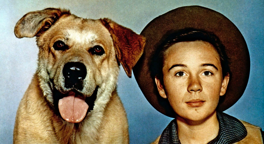 Child Star Of ‘Old Yeller’, ‘The Shaggy Dog’ Was 79