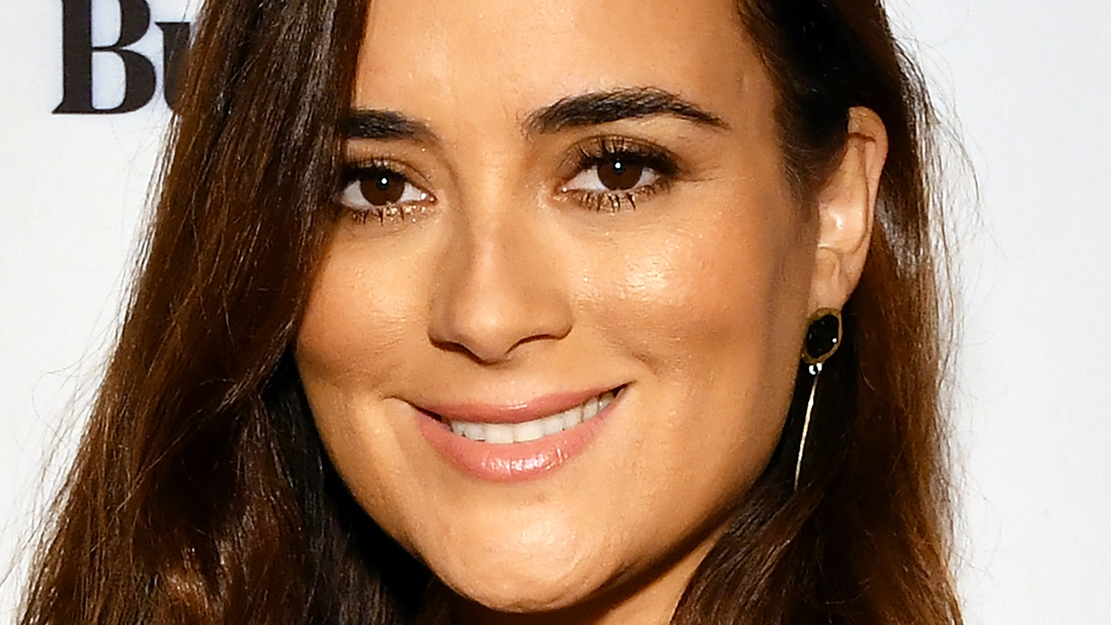 Cote De Pablo Turned Down This Massive Opportunity To Star In NCIS