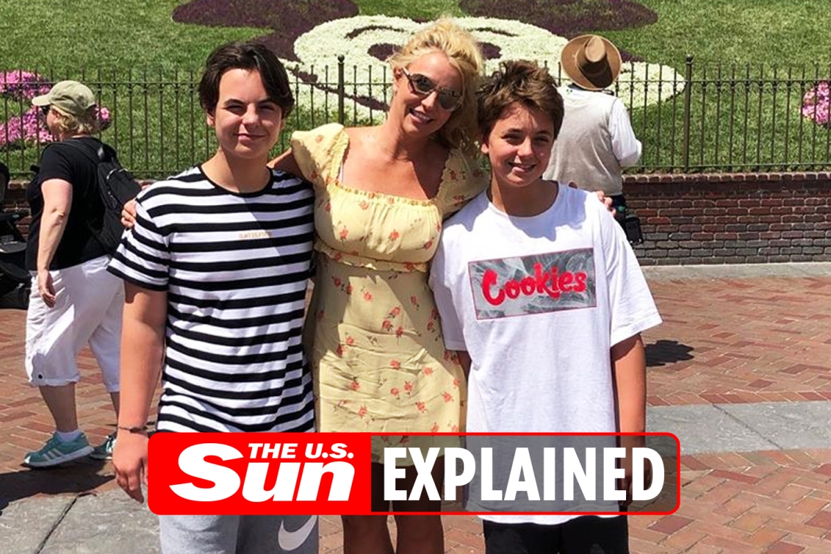 Britney Spears has custody of her children. – The US Sun