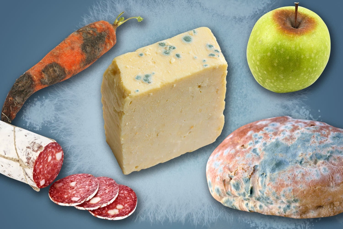 Does food go mouldy in your fridge? Here’s what will make you ill and what to save