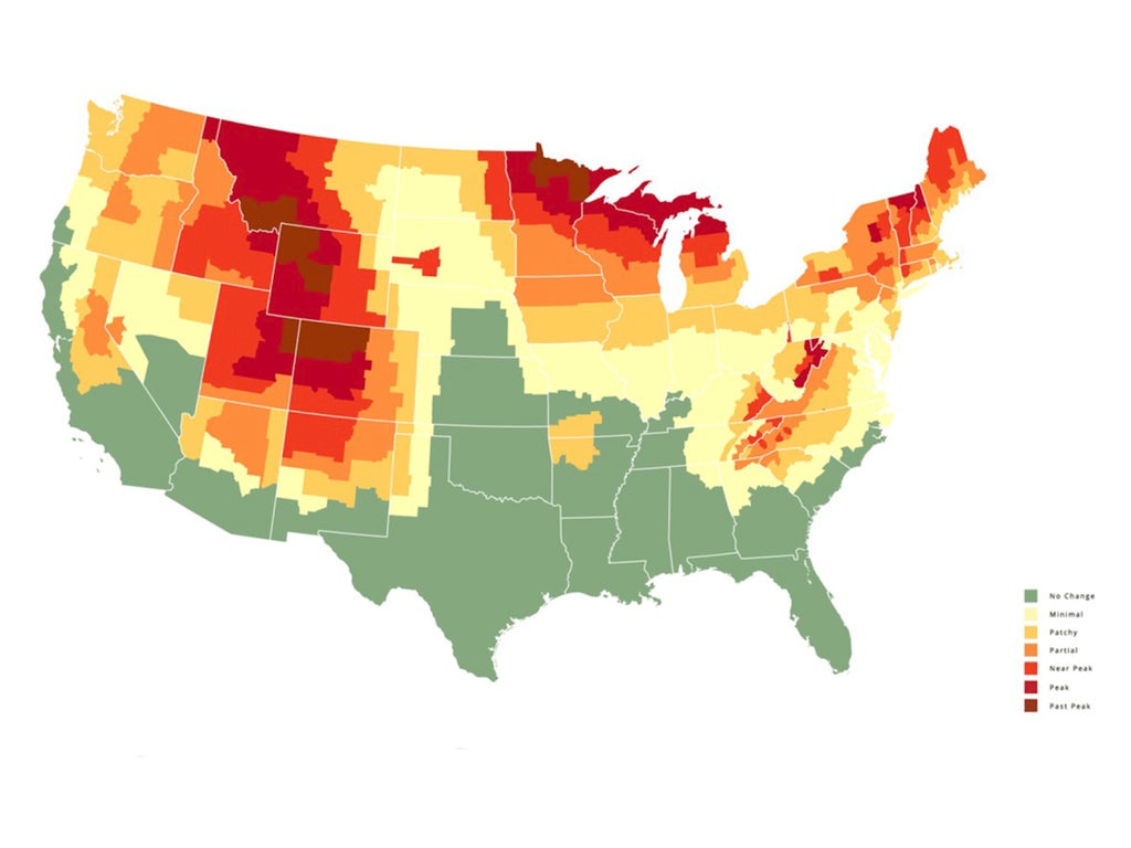 Fall foliage predictor map The best places to see the leaves change