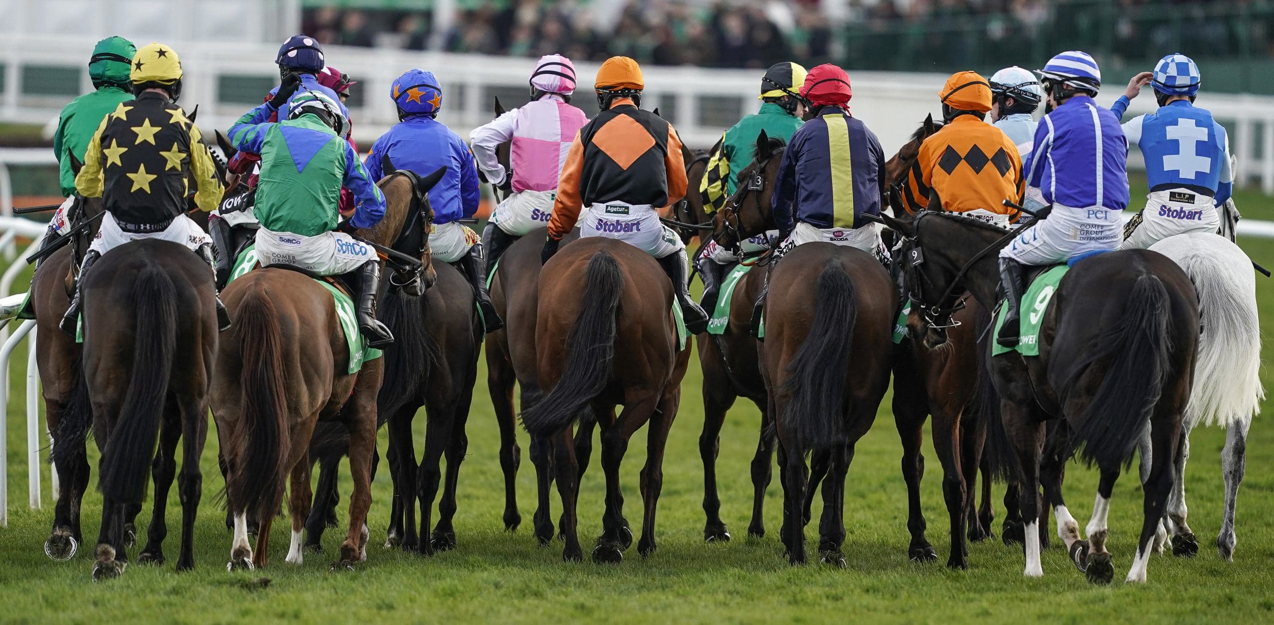 Racing Tips For Newmarket Hosted Racing Events Newsboy selections for day!