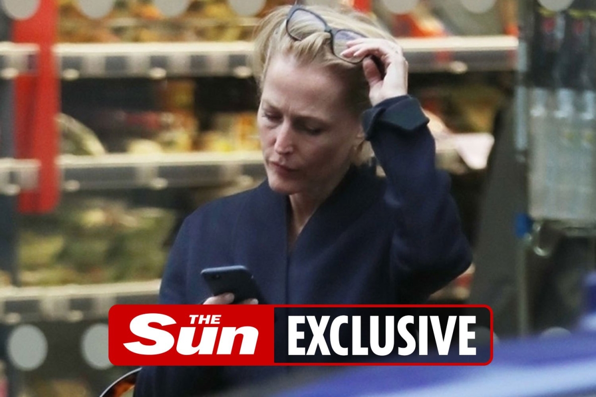 Gillian Anderson has assistant to scan and shield her from lewd messages