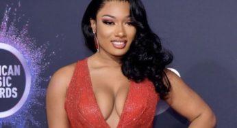 Megan Thee Stallion Networth Soars In Just 2 Years