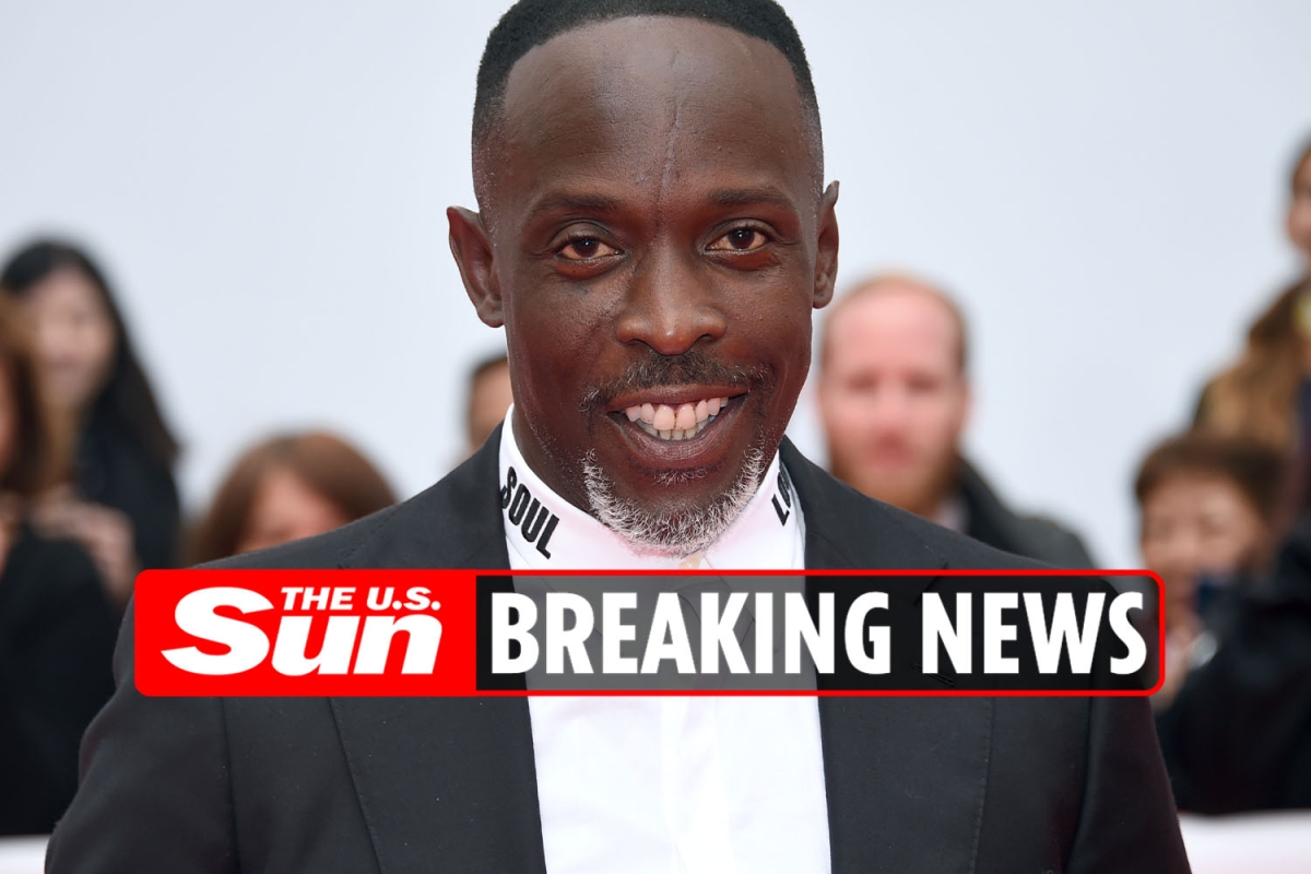 Michael K Williams’ cause of death revealed to be accidental overdose of fentanyl, heroin and cocaine