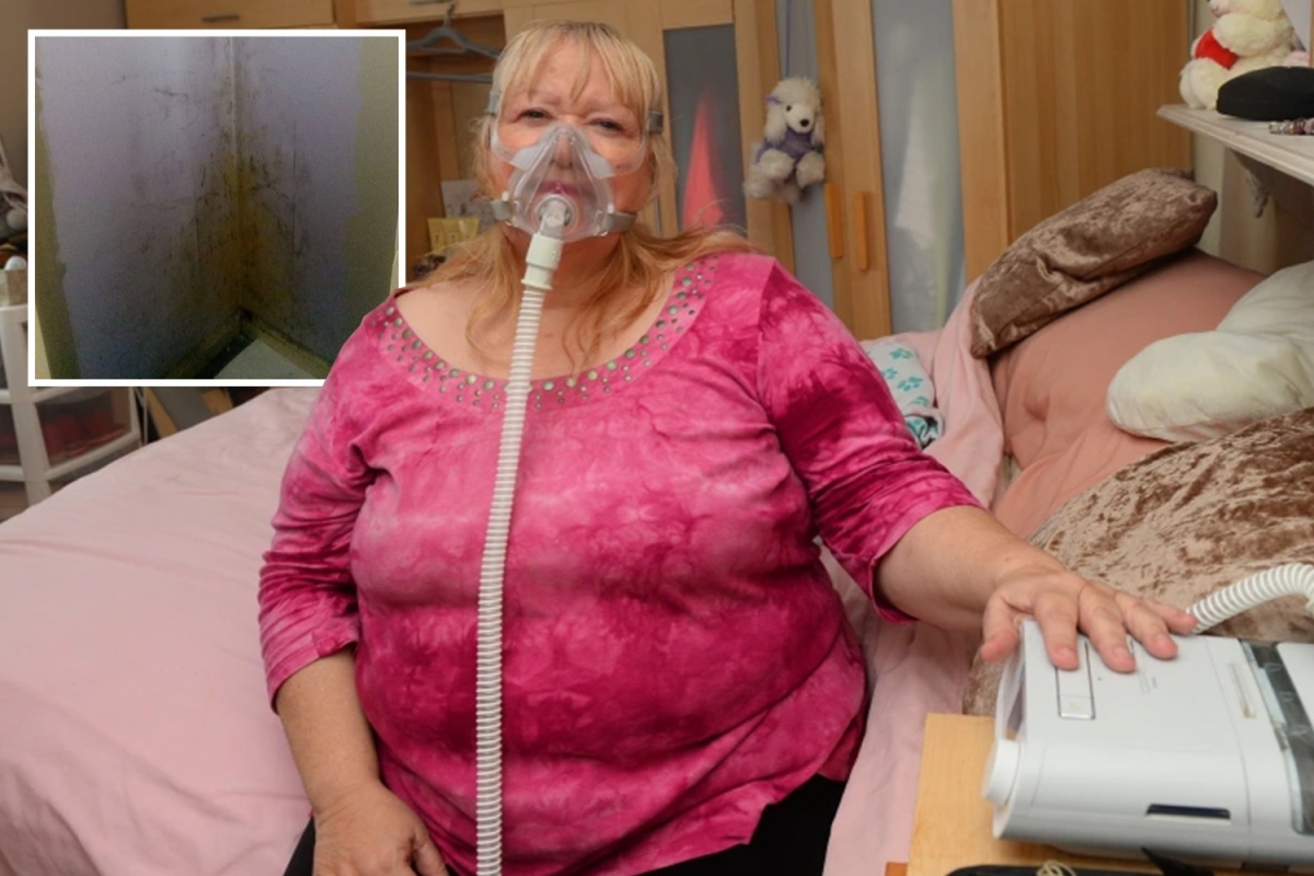 Mum-of-seven, 64, left struggling to breathe in mouldy council flat and forced to chuck out £1,000 clothes due to damp