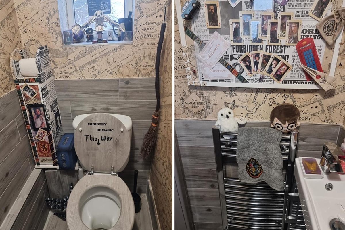 Mum spends just £12 transforming her drab bathroom into a Harry Potter haven using bargains from B&M