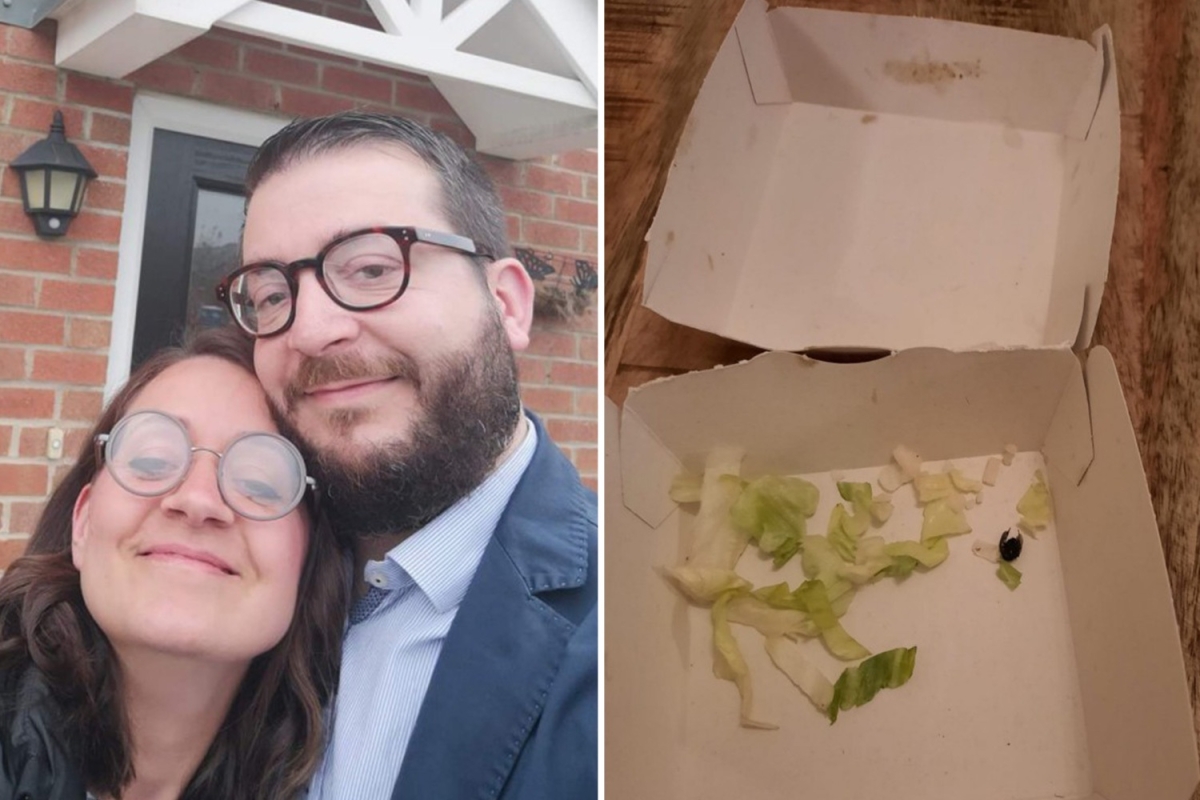 Nurse disgusted to find dead FLY in box of McDonald’s fries after finishing off half
