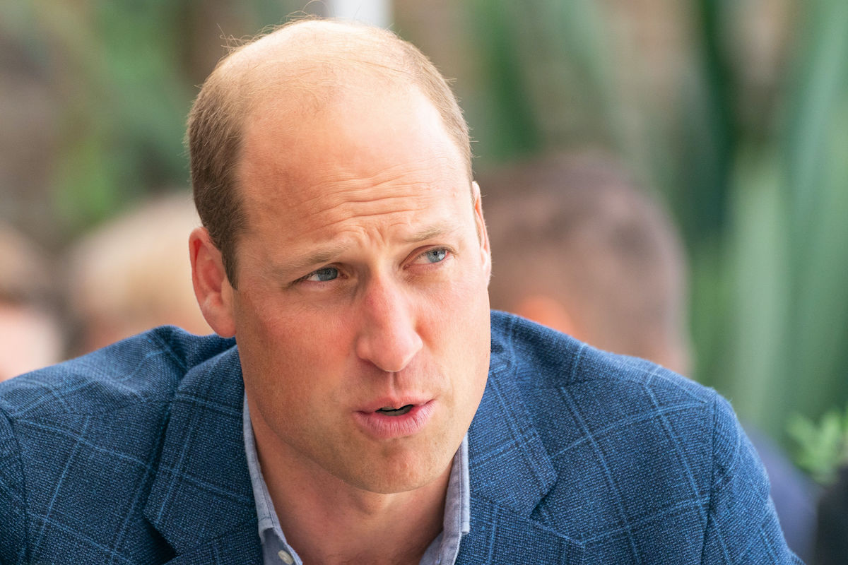 Prince William in Uproar over Prince Harry’s Princess Diana Project with Netflix