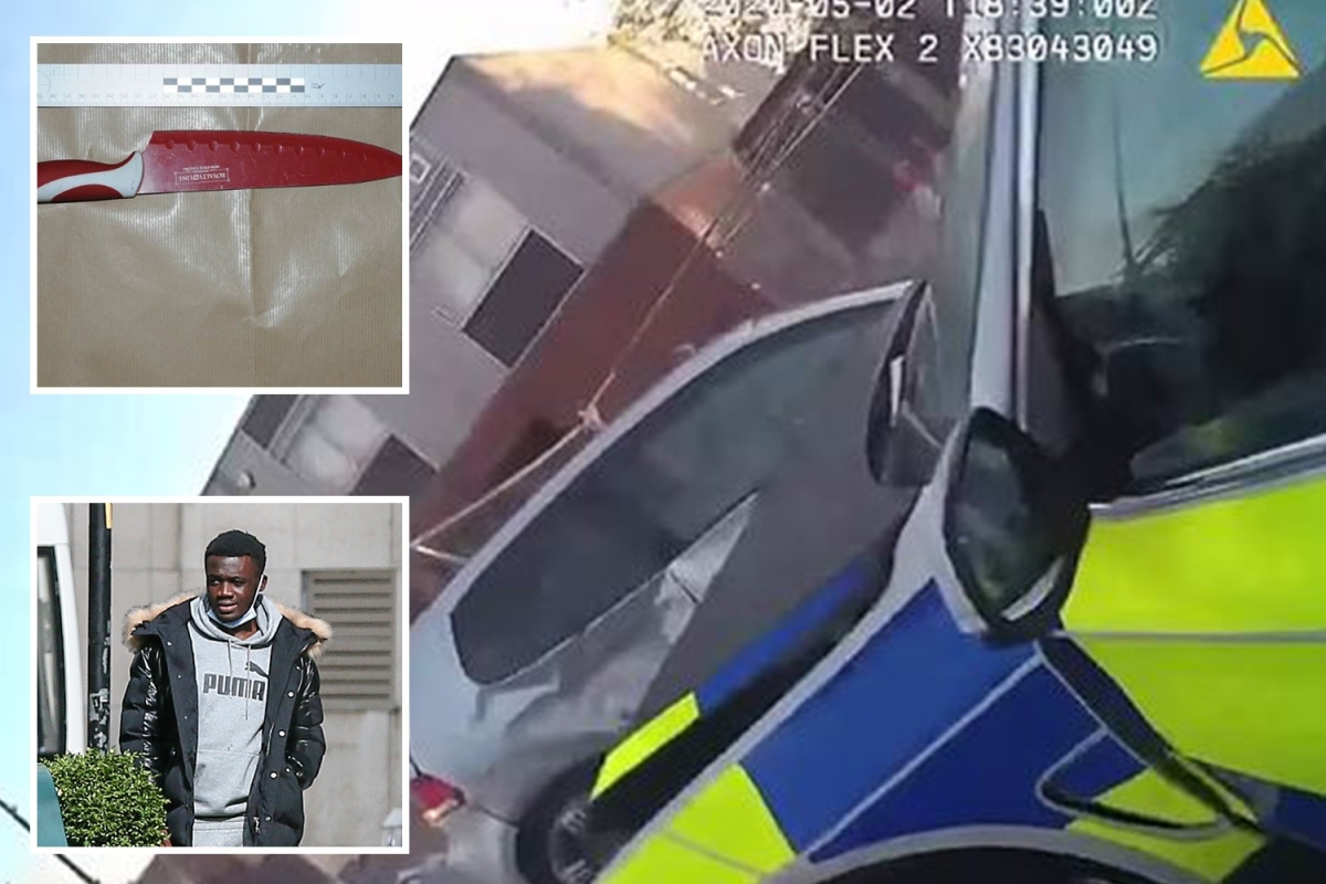 Shocking moment 2 teen robbers rammed by armed cops after 110mph chase