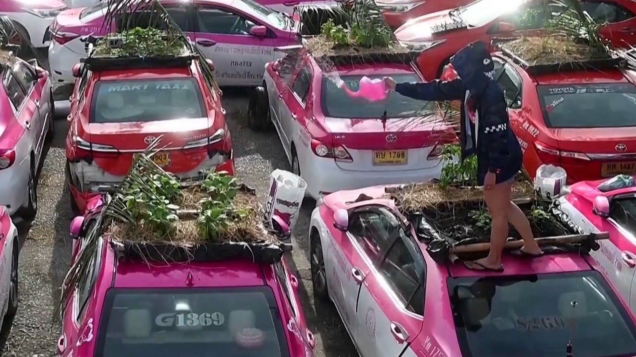 Taxi Company in Bangkok Turns Old Cabs Into Vegetable Gardens