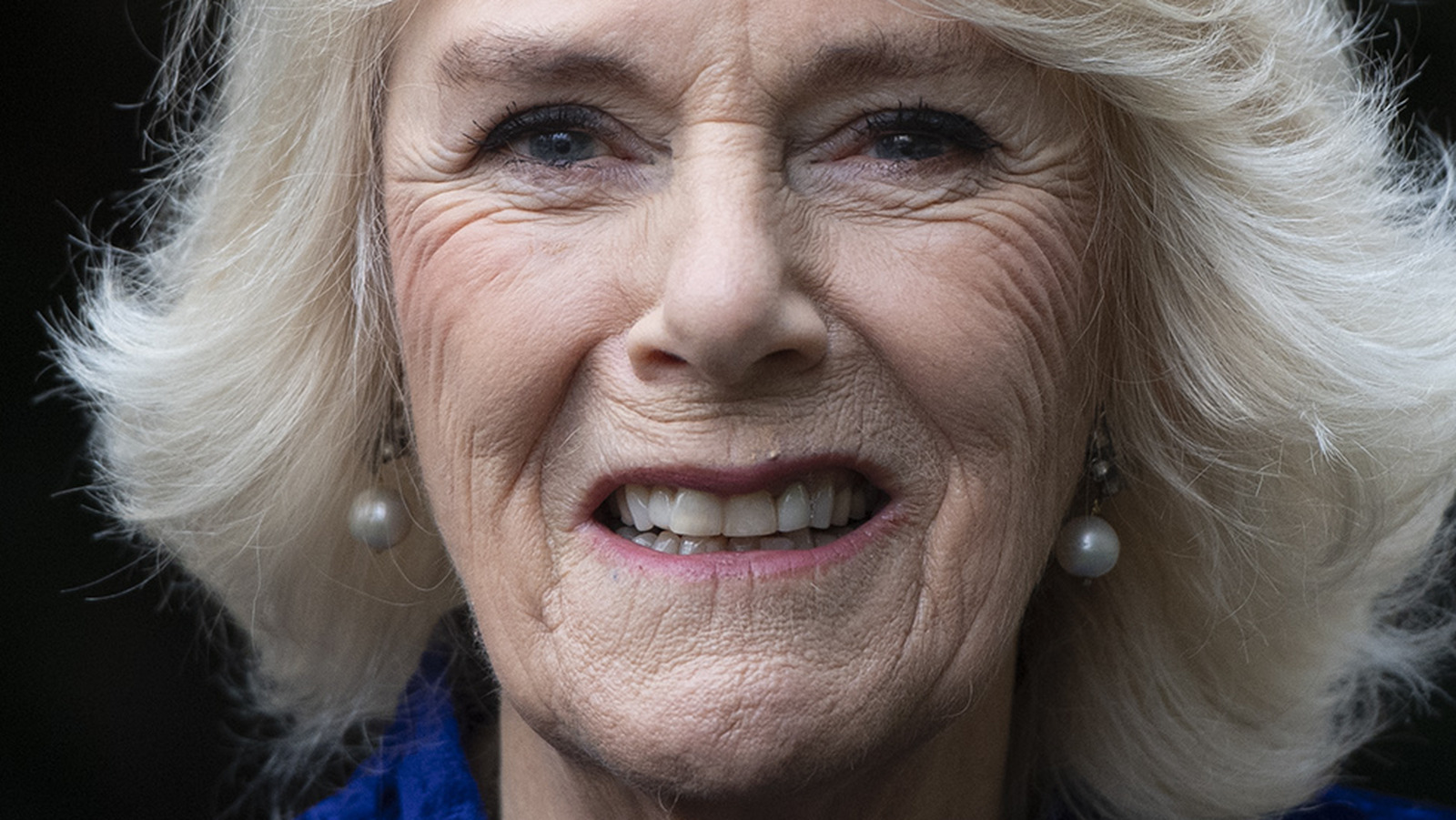 The Real Reason Camilla Almost Couldn’t Marry Prince Charles