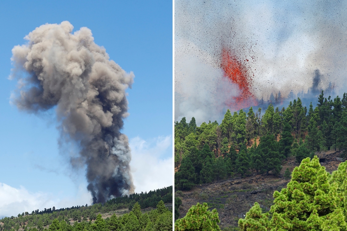 Volcano erupts on La Palma in Canary Islands after 1000 earthquakes detected as hundreds evacuated