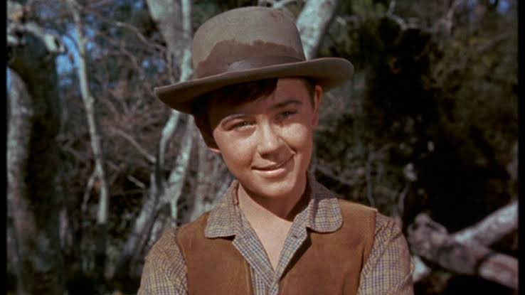Was Tommy Kirk gay? Ex-Disney child actor took his last breath at 79