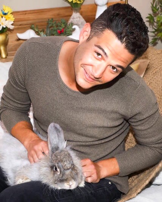Wells Adams Finally Gets Shot At Hosting 'Bachelor in Paradise'