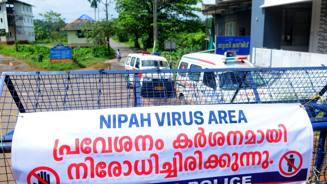 What Is Nipah Virus? As 12-Year-Old Dies of Bat-Borne Disease, Epidemiologist Says Climate Change Is to Blame