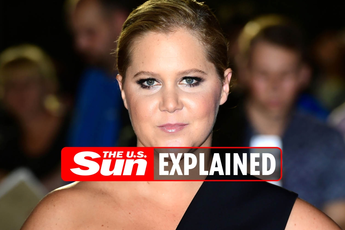 What has Amy Schumer shared about her battle with endometriosis.