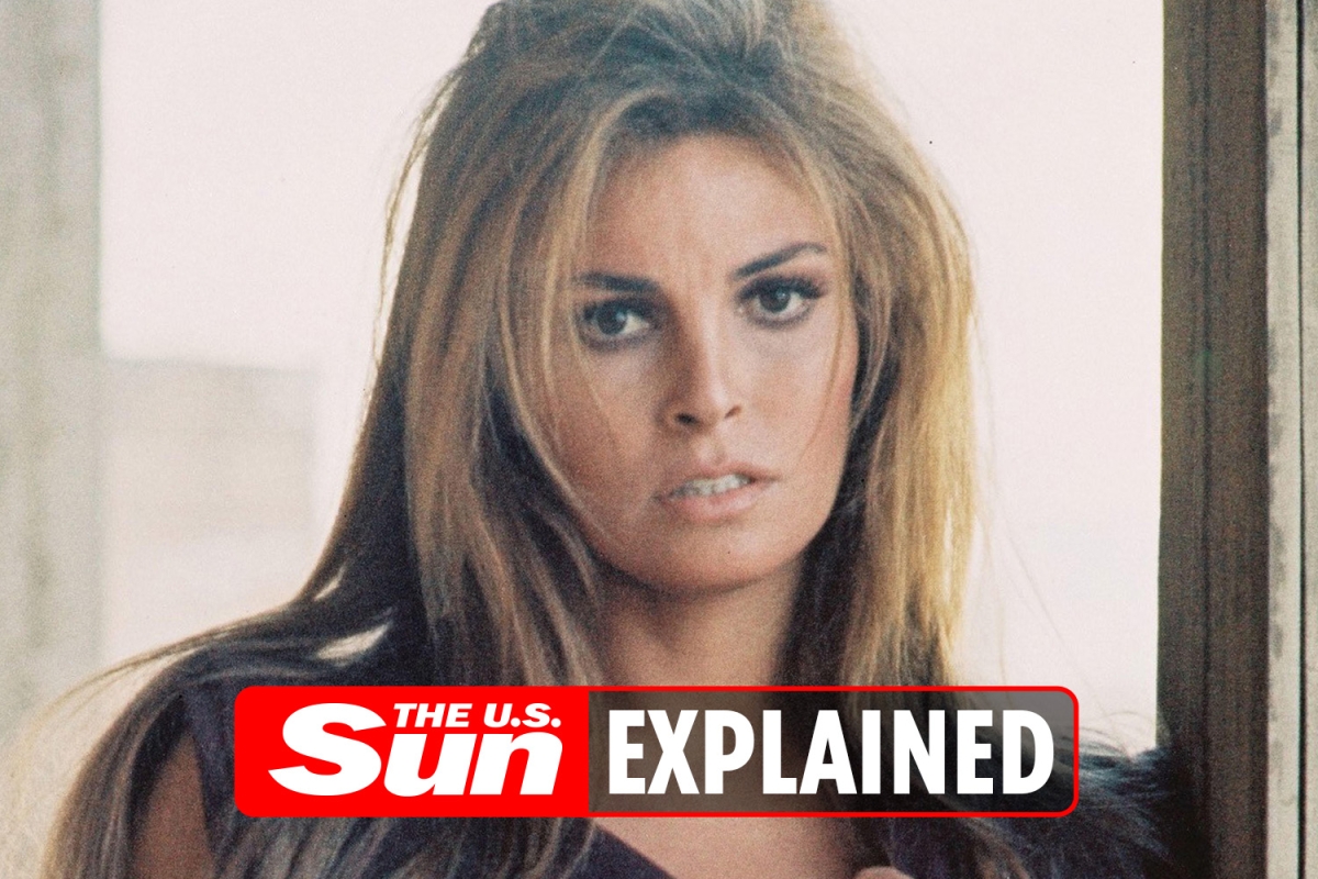 How much is Raquel Welch worth?