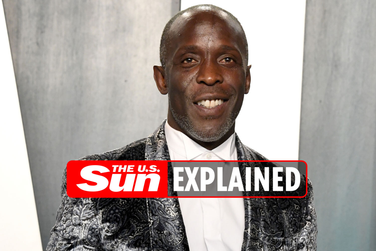 What was Michael K Williams’ networth?