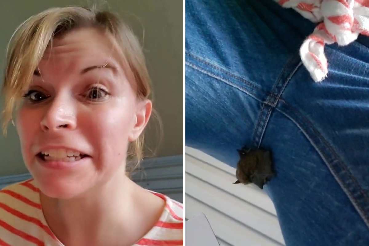 Woman left stunned as she finds a live BAT hanging in the crotch of her jeans