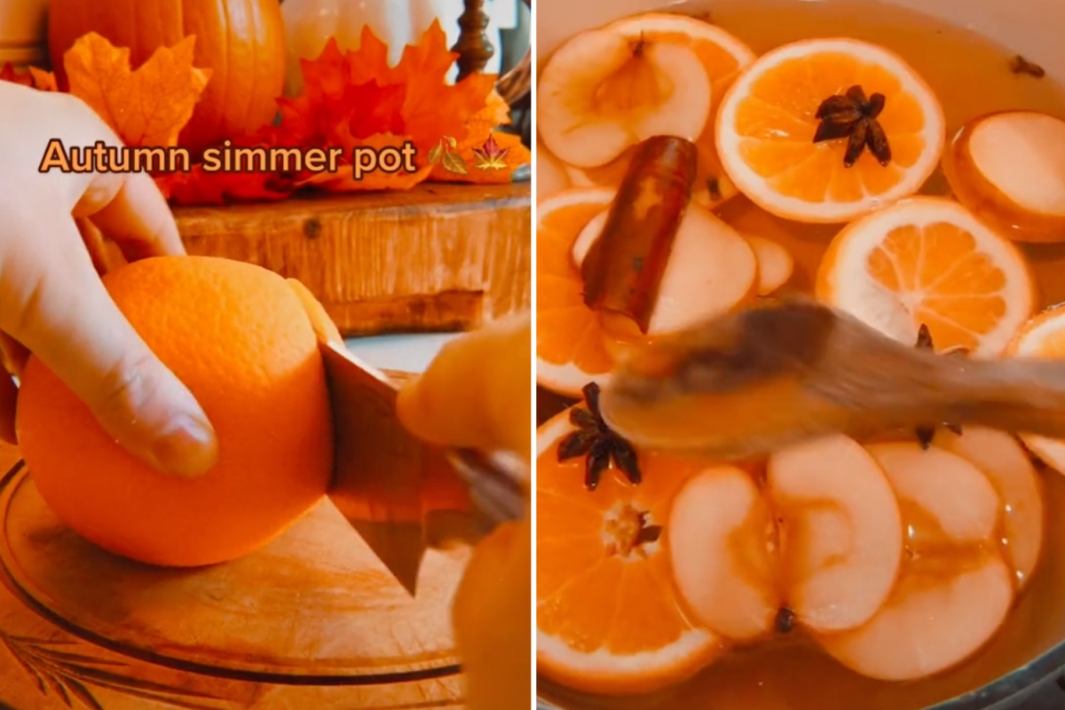 Woman reveals how to make your home smell amazing by making a fall-inspired simmer pot