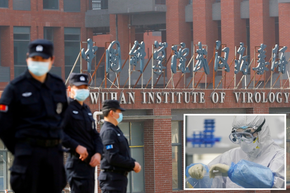 Wuhan ‘leak’ lab scientists ‘planned to release souped-up coronaviruses into BAT CAVES before Covid outbreak’