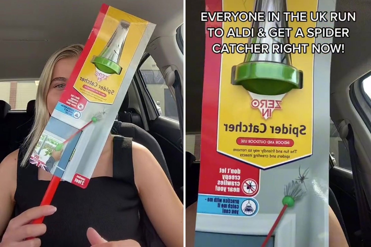 You can now buy a £7.99 spider catcher from Aldi that is perfect for removing creepy crawlies
