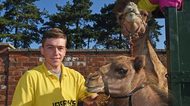During the lockdown, a circus family buys camels to generate 'white gold' milk for £20 per litre