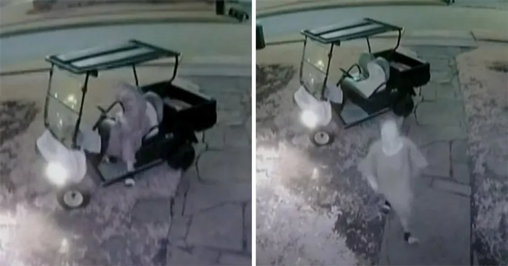 Woman Driving Golf Cart Caught Red-Handed On Camera Stealing A Parcel!!