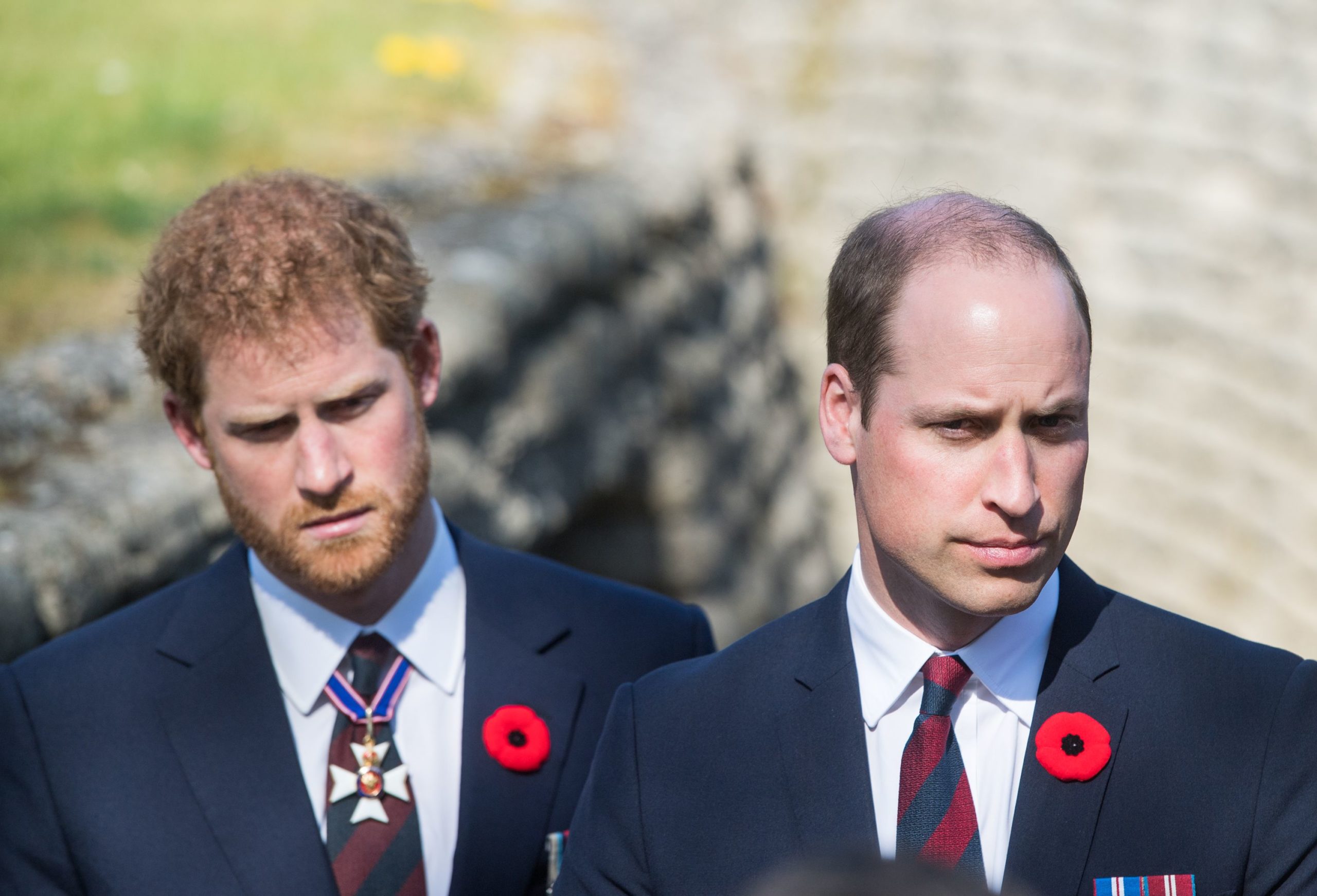 Prince Harry and Prince William may start healing And Reunite After Philip TV Doc!